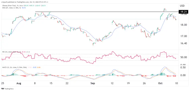 Understanding SLV Stock Price: Trends and Market Insights