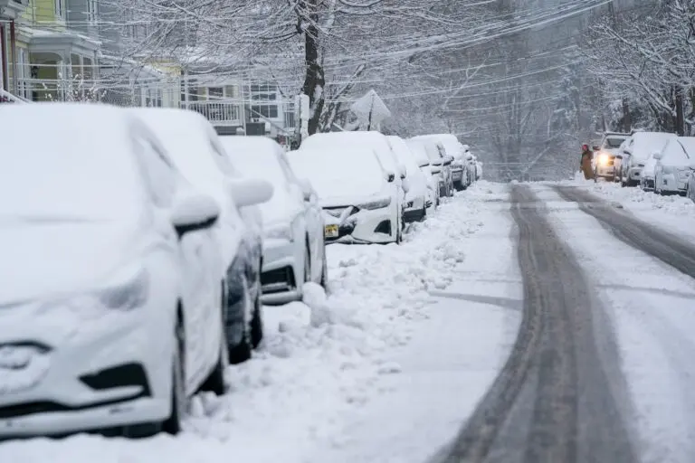 Recent Snow Storm Hits New Jersey: What You Need to Know