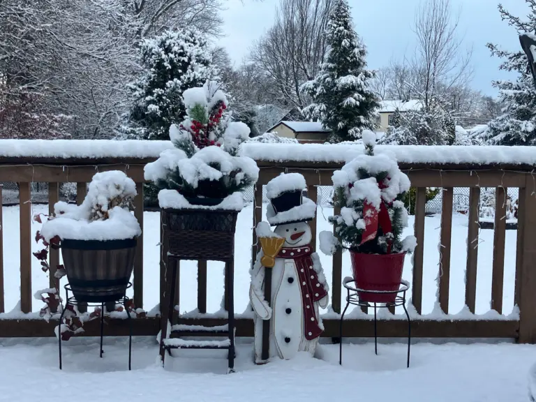 Significant Snow Storm Hits New Jersey: Impacts and Forecasts