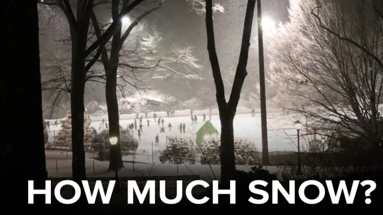 Recent Winter Storm: Snowfall Totals and Community Impact