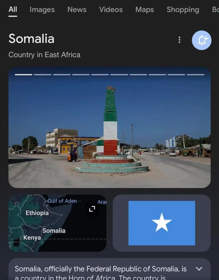 Understanding the Current Situation in Somalia