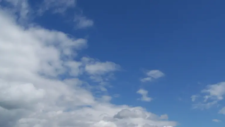 Current Tampa Weather: What You Need to Know