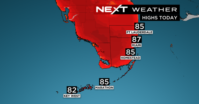 Understanding Current Weather in Miami: Trends and Forecasts