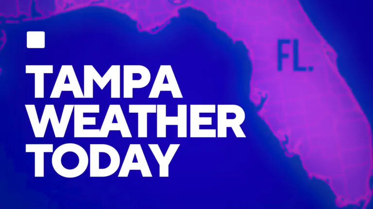 Current Weather in Tampa: What You Need to Know