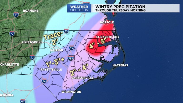 Impact and Response to the Winter Storm in North Carolina