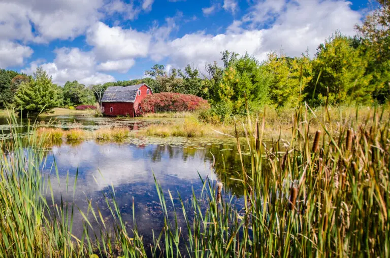 Exploring Zimmerman MN: A Growing Community in Minnesota