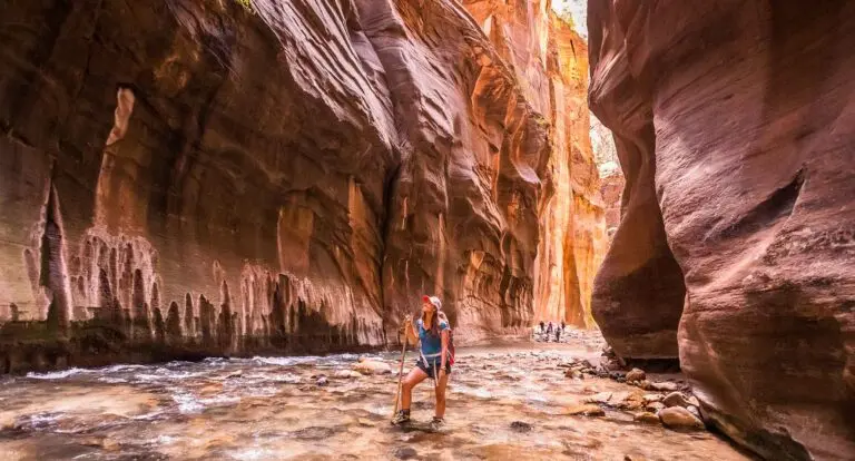 An In-Depth Look at Zion National Park