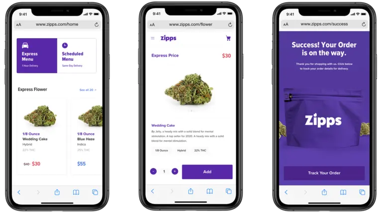 Exploring Zipps: A Growing Trend in Convenience Services