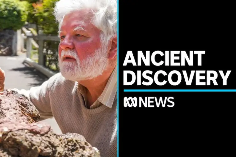 Current Events and Insights from ABC News