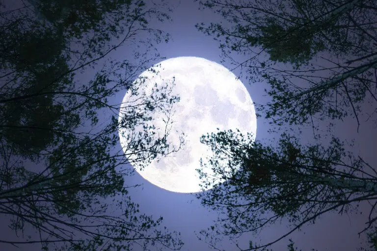 The Fascinating Phenomenon of Blue Moons