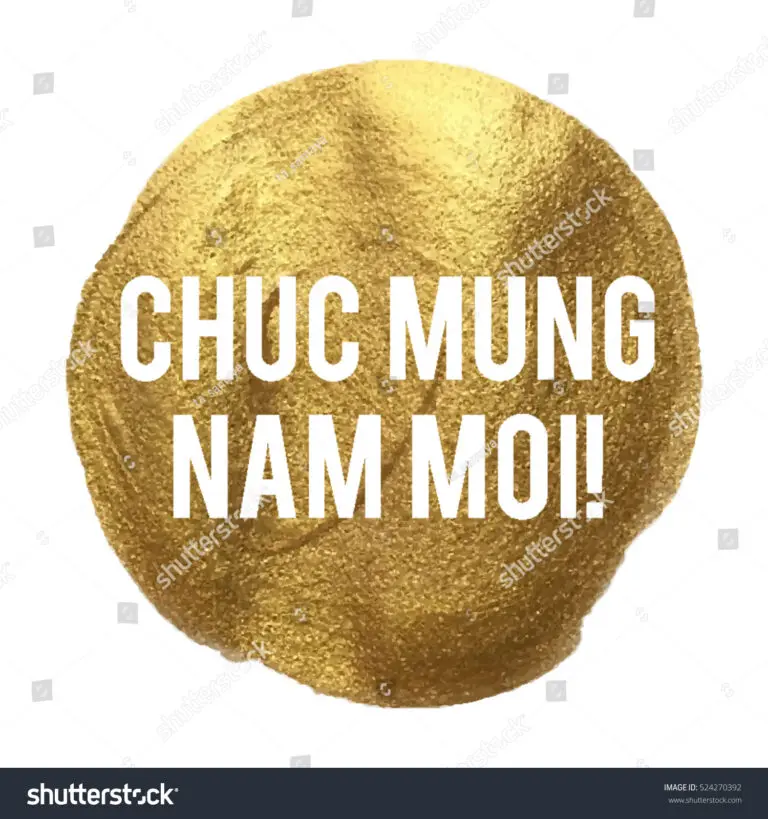 Understanding Chúc Mừng Năm Mới: The Vietnamese Lunar New Year