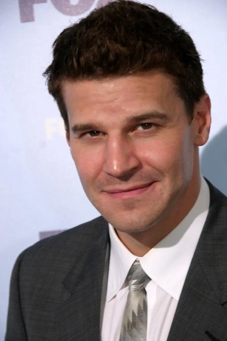 The Career and Impact of David Boreanaz in Hollywood