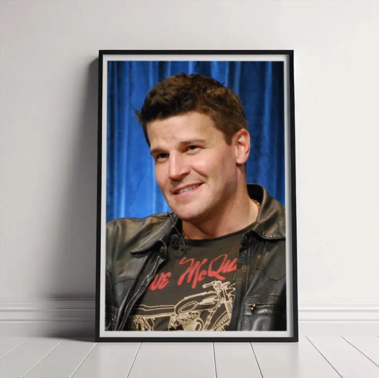 The Career and Impact of David Boreanaz