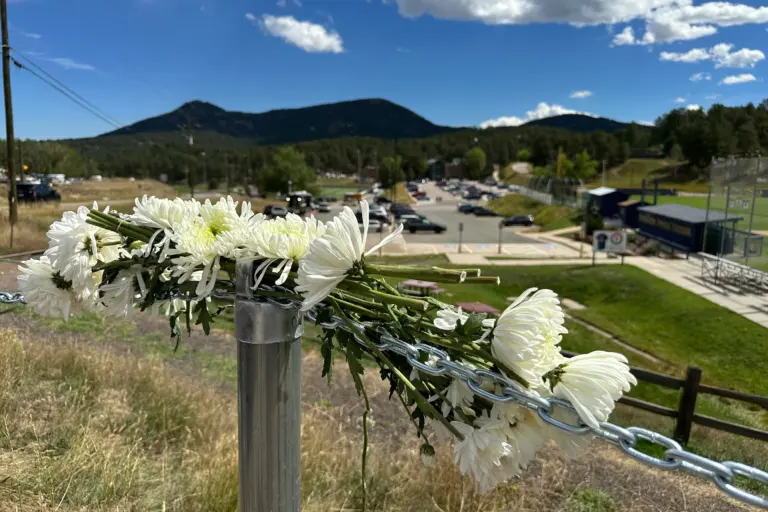Understanding the Evergreen Shooting Incident and Its Implications