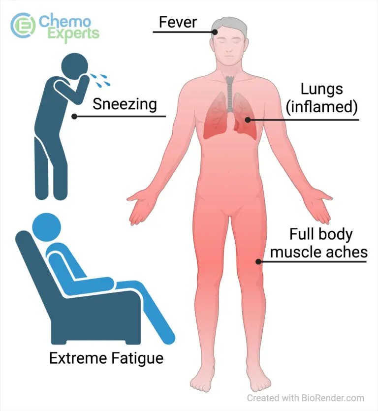 Flu Symptoms: What You Need to Know This Season