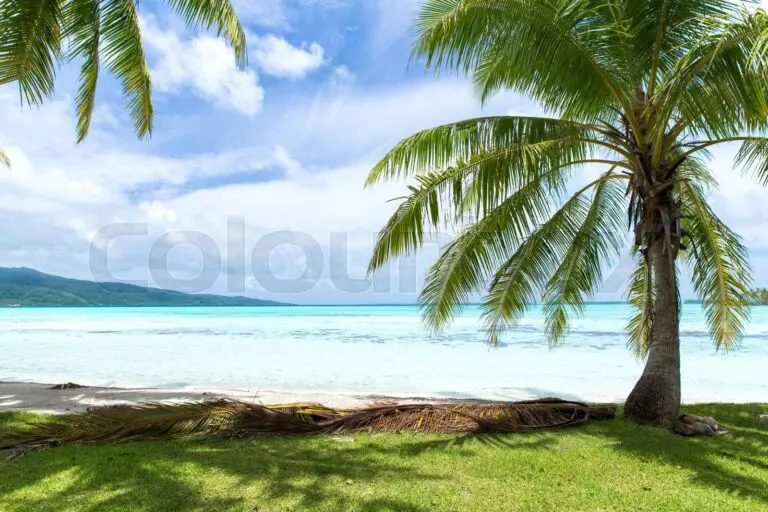 Unveiling the Wonders of French Polynesia