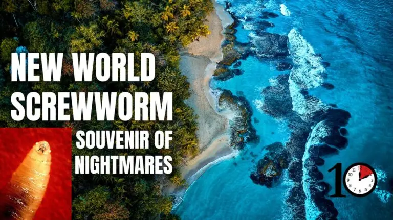 Understanding the New World Screwworm and Its Impacts