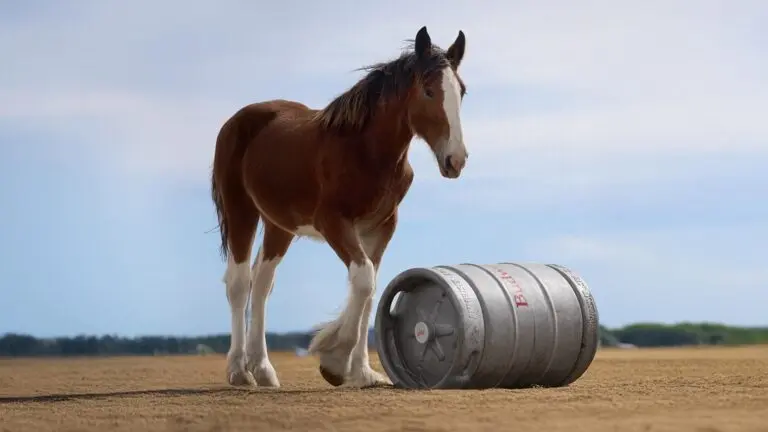 Redfin’s Impactful Super Bowl Commercial 2023