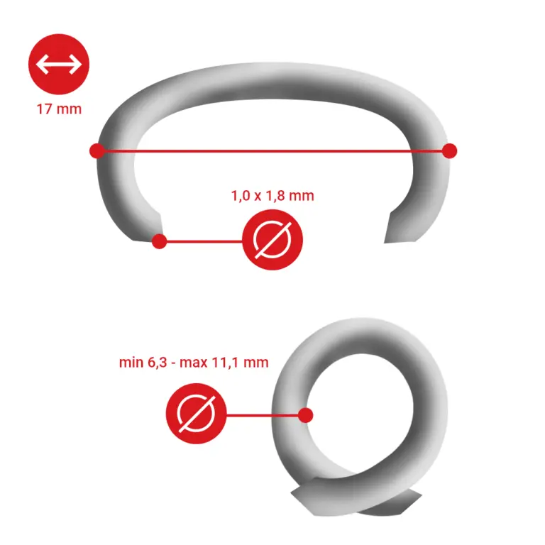 The Significance and Evolution of Rings Through Time
