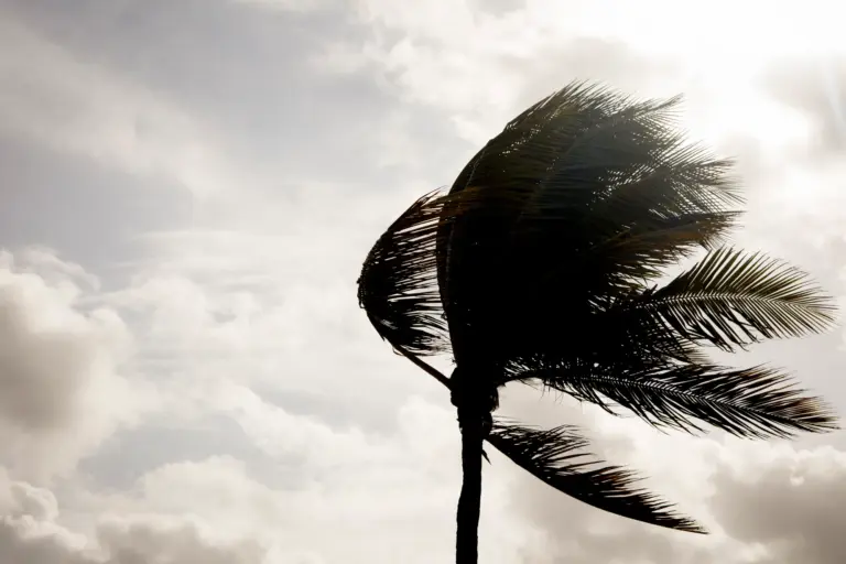 Latest San Diego Weather Forecast and Trends