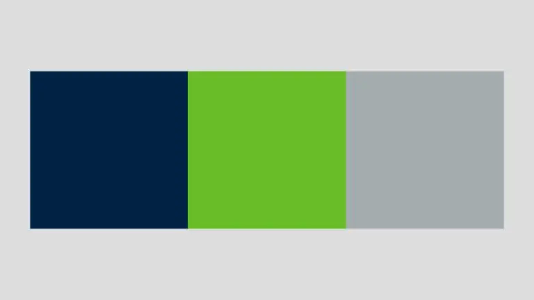 Exploring the Colors of the Seattle Seahawks