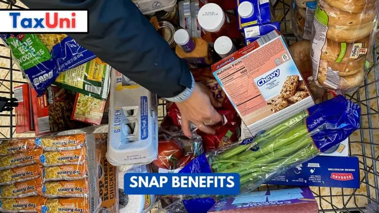 Everything You Need to Know About SNAP Benefits
