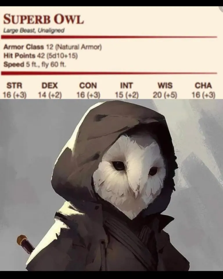 Highlights from the 2023 Superb Owl Championship