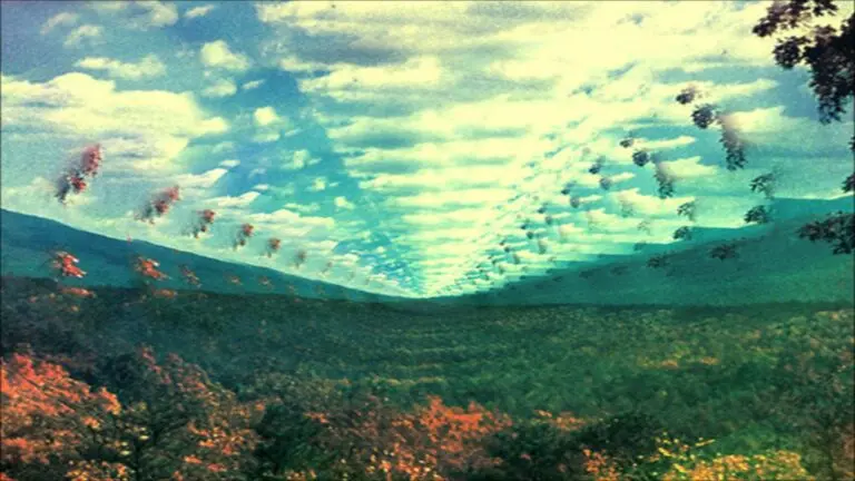 Exploring the Musical World of Tame Impala