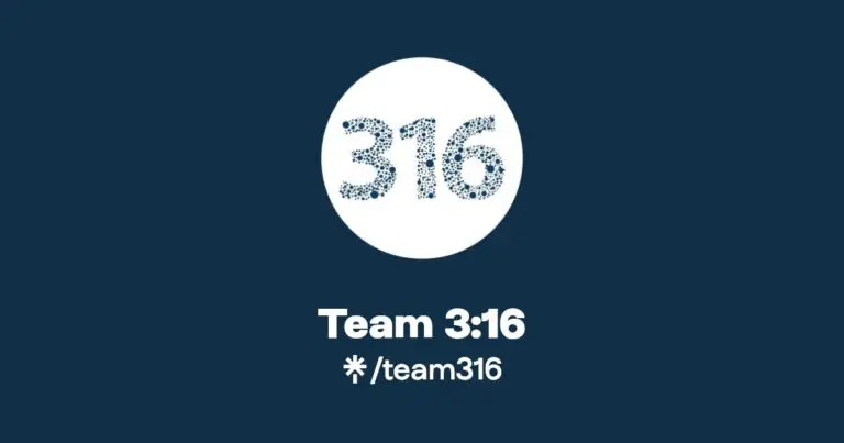 What You Need to Know About Team Stock