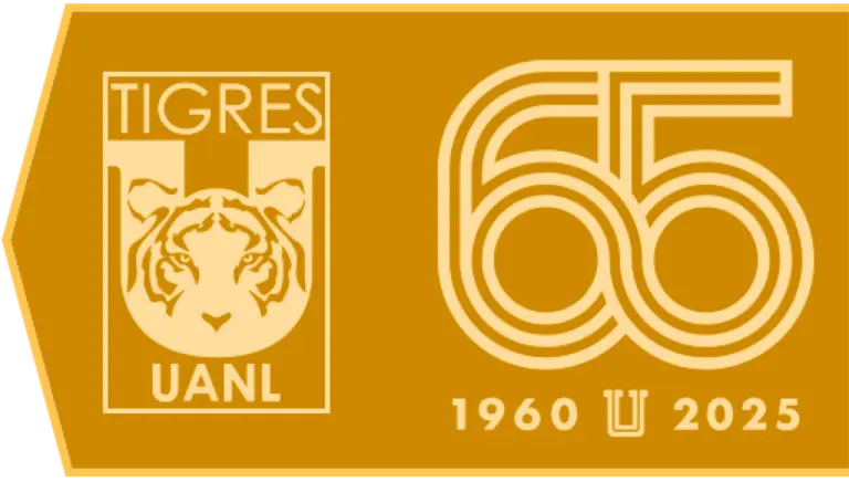 The Rise of Tigres UANL in Mexican Football