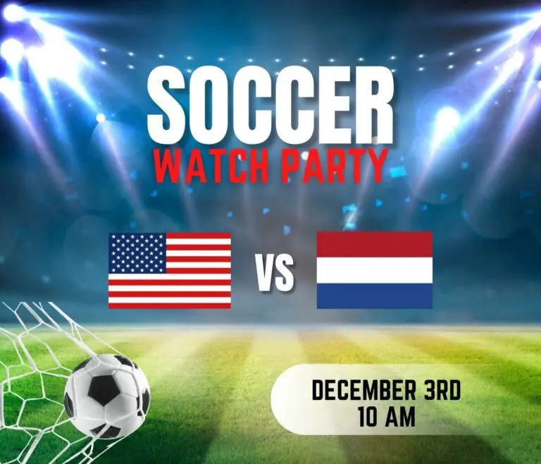 Understanding the USA vs Netherlands: A Cultural and Competitive Comparison