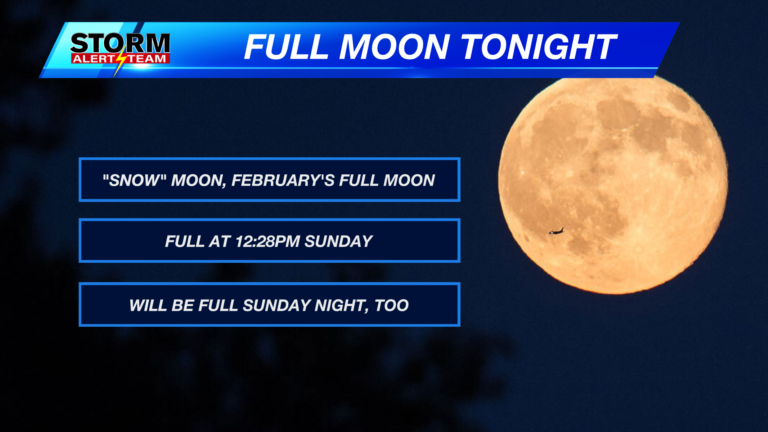 Discover What Moon is Tonight: Current Moon Phase Insights