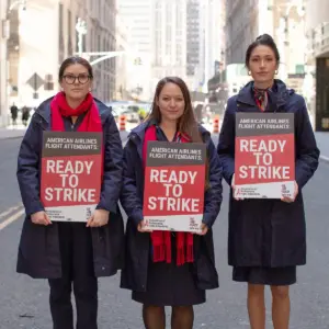 american airlines flight attendants — US news