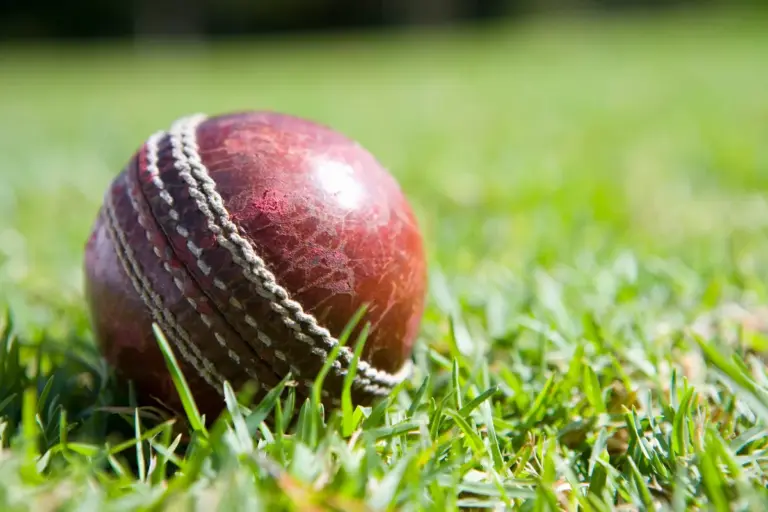 Blackstone’s Bold Move: Acquiring Royal Challengers Bengaluru for $1.78 Billion