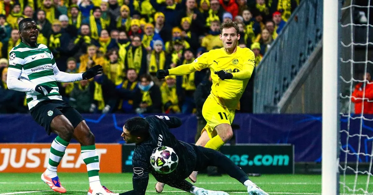bodo glimt — US news