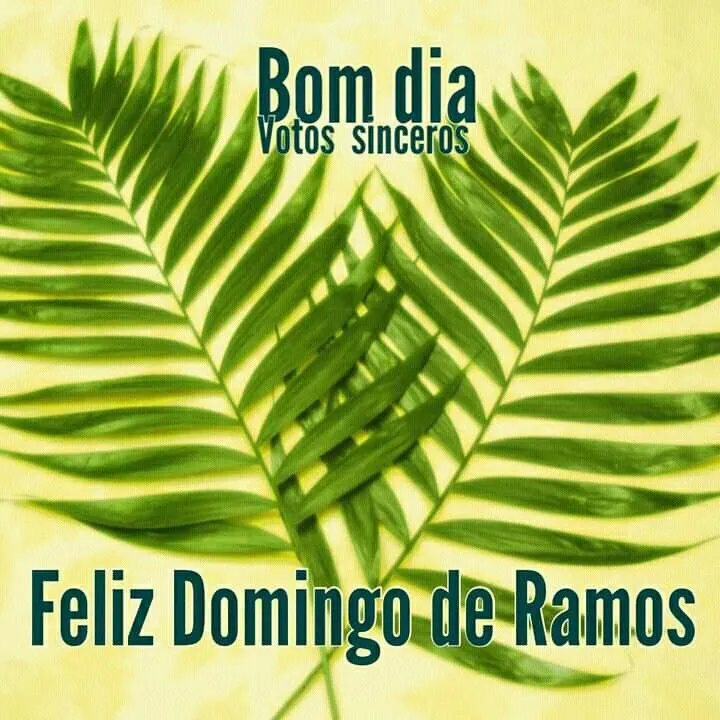 Feliz Domingo de Ramos: Palm Sunday and Its Significance