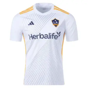 la galaxy — US news