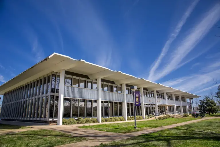 LSU Faces Tough Losses in March 2026