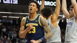 michigan vs arizona — US news