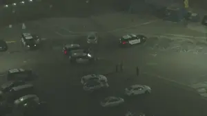 santa monica pier shooting — US news