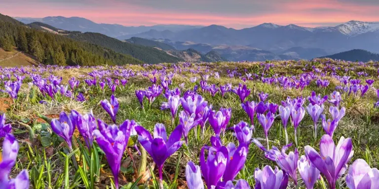 Spring equinox: Understanding the : A Time of Balance and Renewal