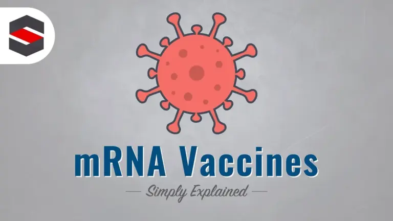 Vaccines: A 30% Decrease in Pediatric Vaccination Rates Raises Concerns
