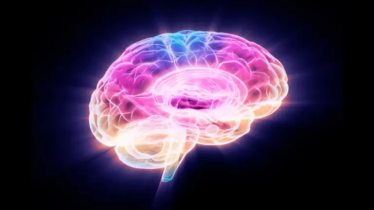 Aging brain: New Insights into the : FTL1 Protein and Its Impact