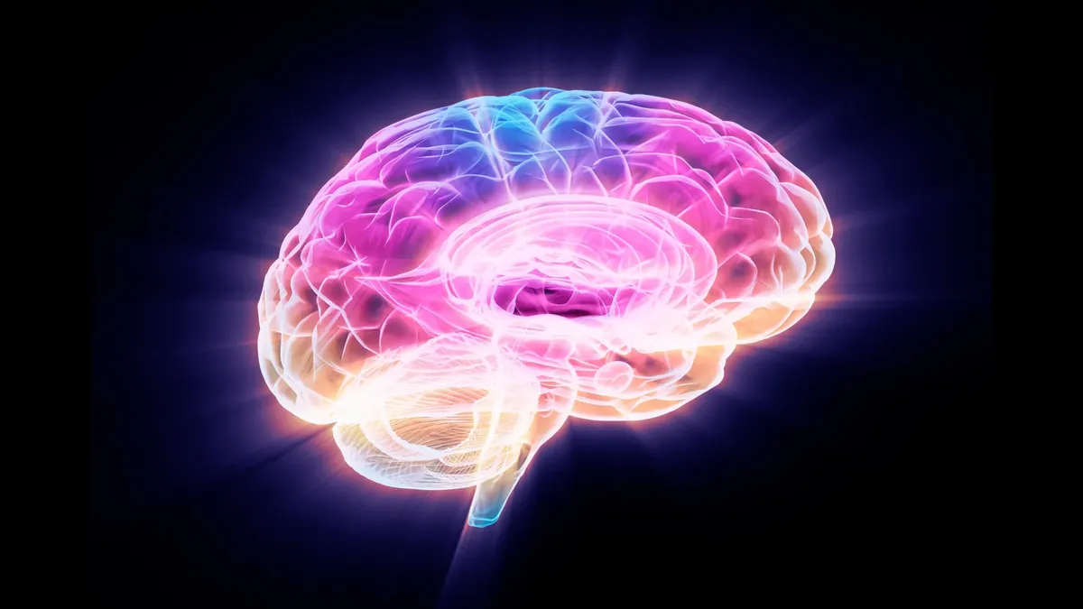 aging brain — US news