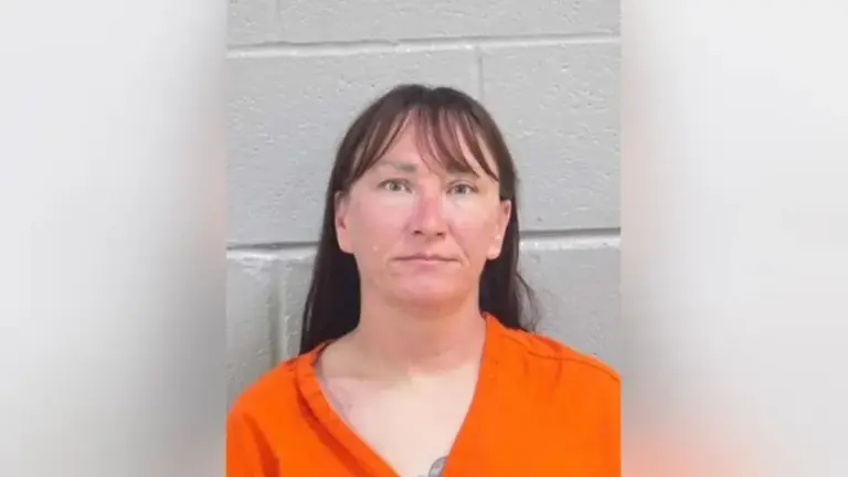 Baby Jessica Arrested on Domestic Violence Charges