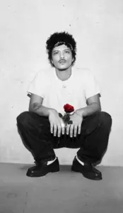 bruno mars phoenix — US news