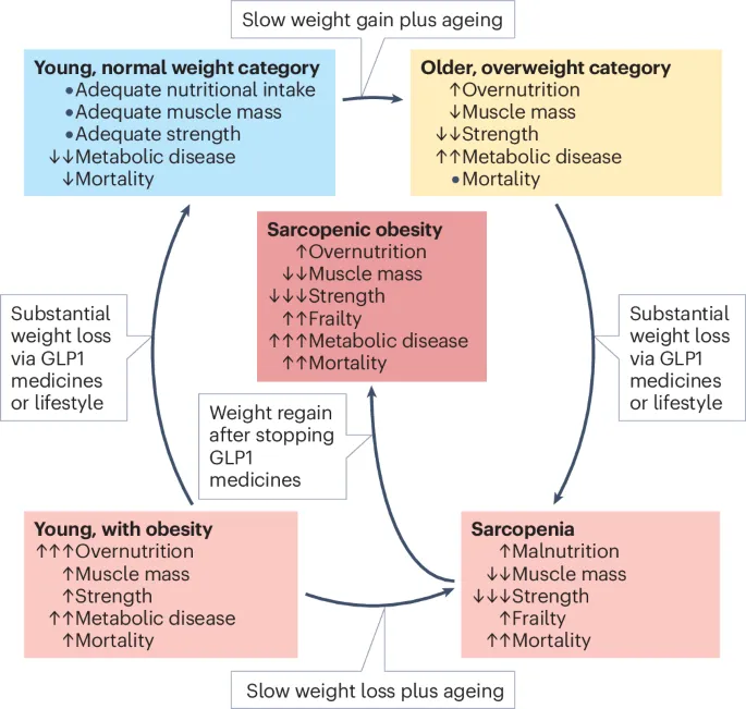 Glp-1 receptor agonist: The Impact of s on Weight Loss and Diabetes Management