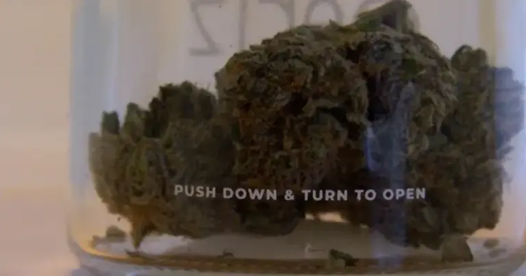 Legalization: Illinois’  Journey: A Deep Dive into Cannabis Licensing Controversies