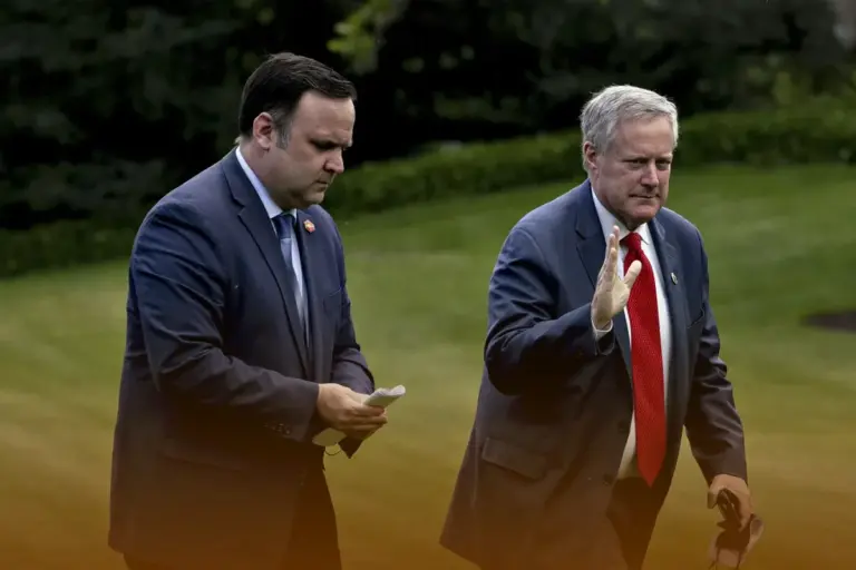 Meadows doj reimbursement request: Mark : What We Know