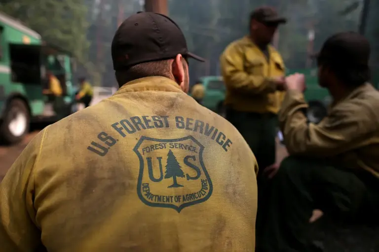 Us forest service: U.S. Forest Service Restructuring: A Historic Shift in Management
